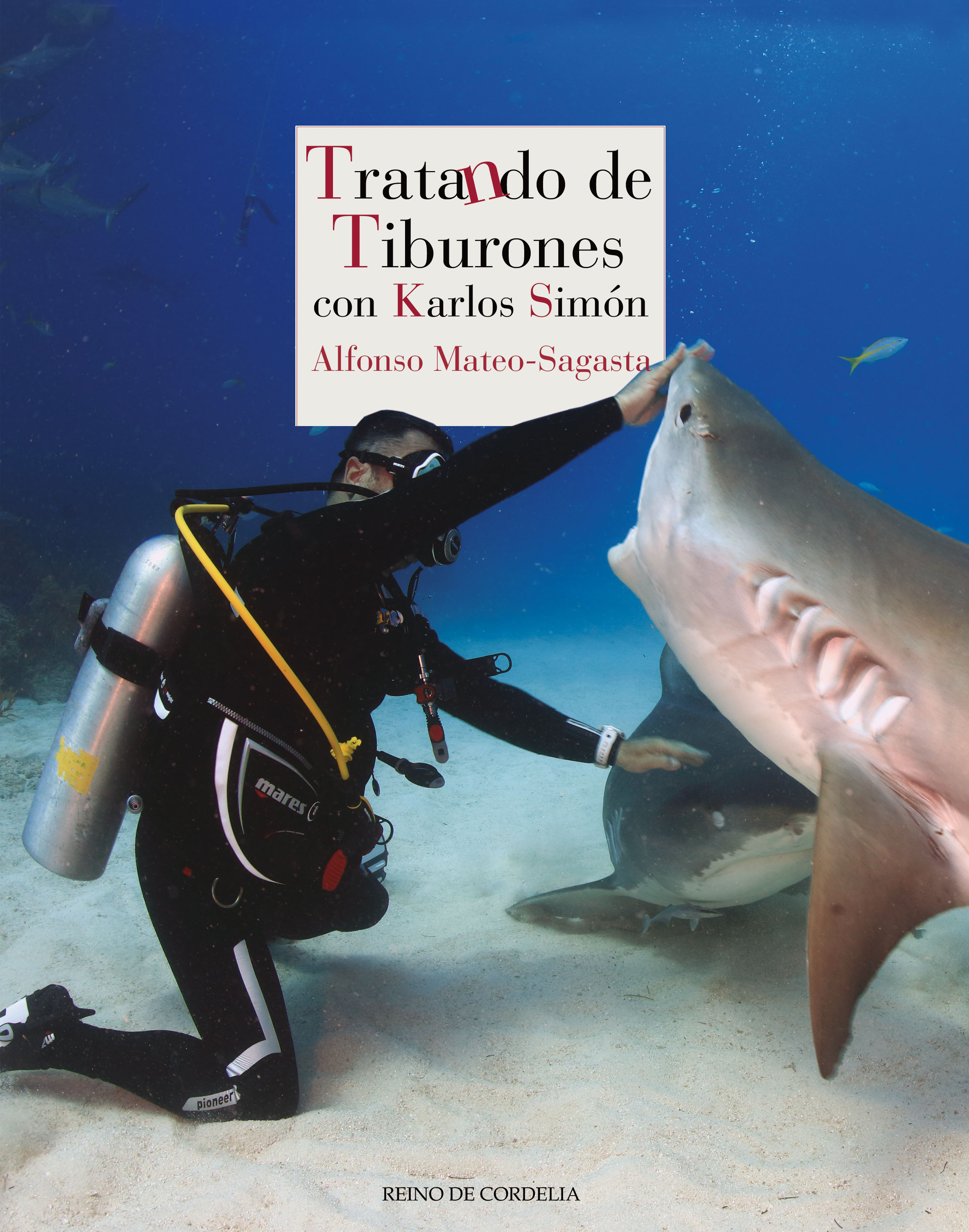 Image result for tratando de tiburones